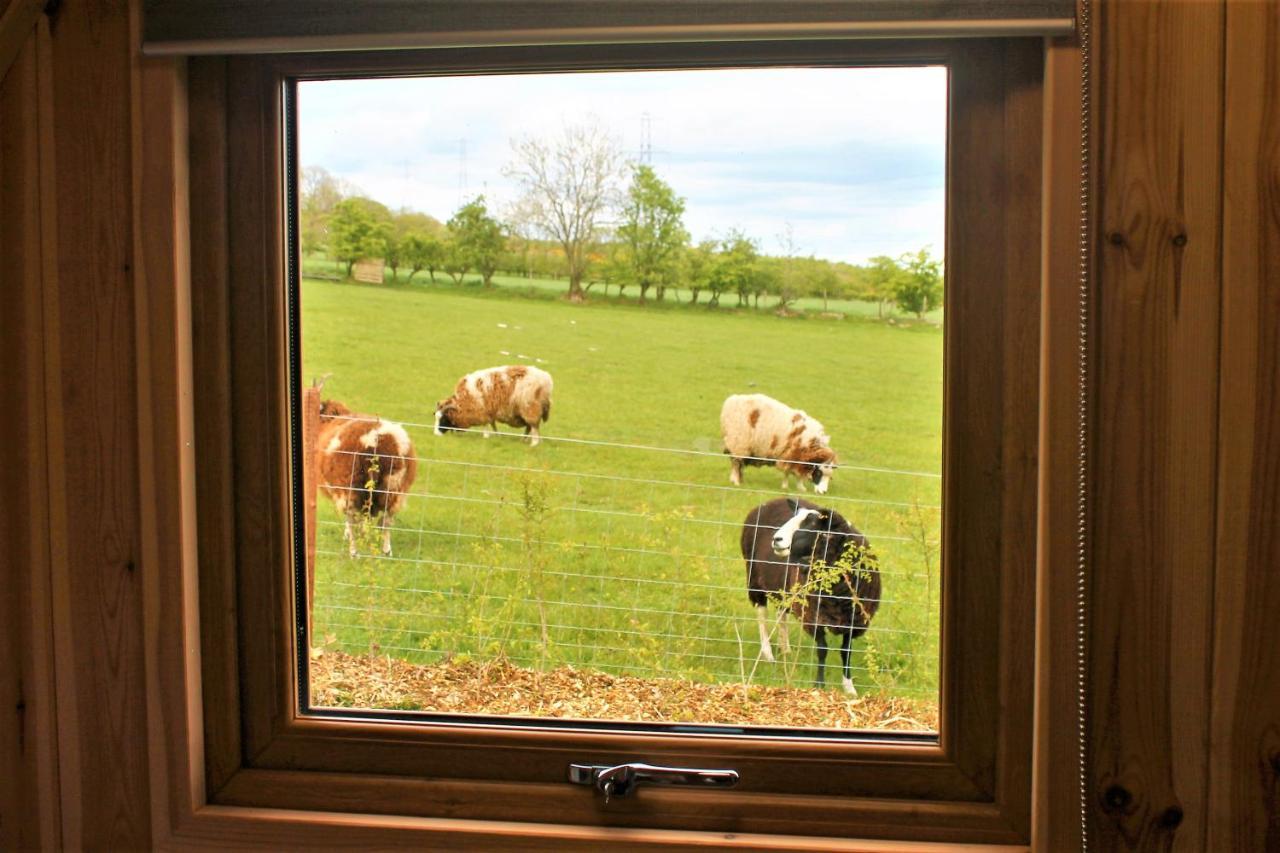 Cairnfold Cabins Kilsyth Ngoại thất bức ảnh